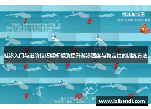 蛙泳入门与进阶技巧解析帮助提升游泳速度与稳定性的训练方法